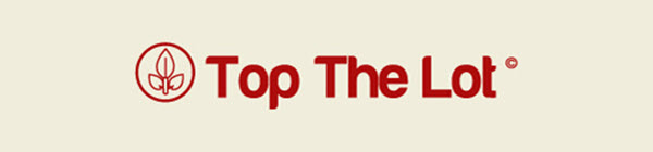 Top The Lot logo 600x140px