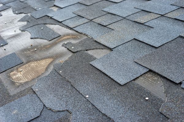 Damaged bitumen shingles on a roof that need rebedding