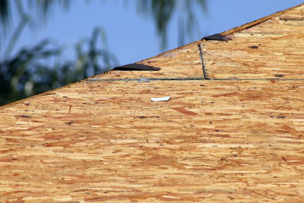 Plywood roof decking under palm trees
